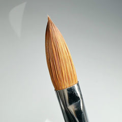 ‘THE’ Brush Size 14  TB14